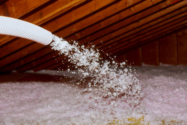 Professional Insulation Contractor in Coal Run Village, KY