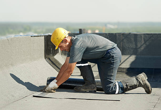 Best Fiberglass Insulation in Coal Run Village, KY